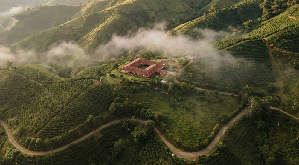 Why Altitude Defines True Luxury in Coffee