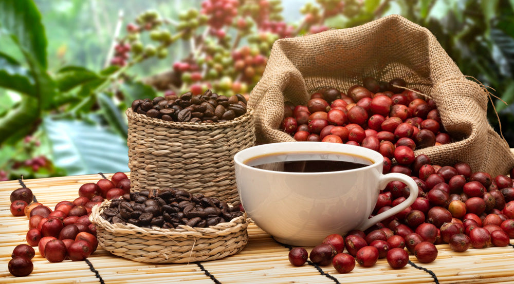 Why Colombia Is One of the World’s Finest Coffee Origins