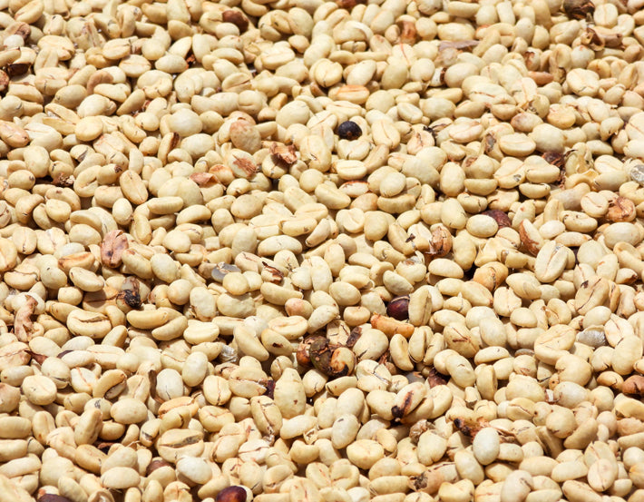 Single-origin Colombian coffee